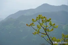 四川达州：白腊坪一日游 风景好美 赛过好多收费的风景区图片