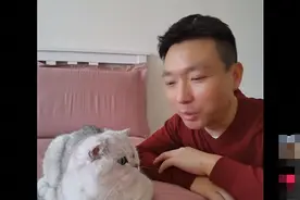 康辉素颜带宠物猫录视频，曝光卧室内景超朴素，至今仍在北京租房图片