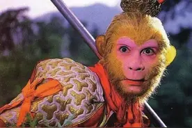 哪一款“取经四人组”是你的最爱？图片