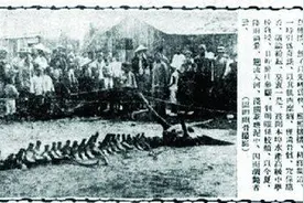 龙真的存在吗？1934年营口坠龙事件是怎么回事？图片