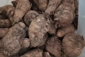富含多种营养素的芋头，红烧加点葱花，孩子也爱吃图片