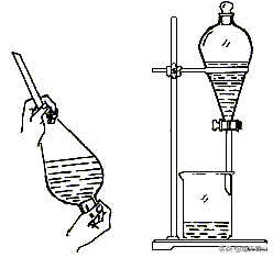 因疫情不能去学校，在家学习生物选修一知识点