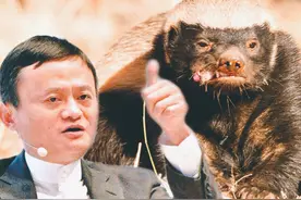 阿里平头哥成功自研“AI芯片”，牵手华为不是更好？图片