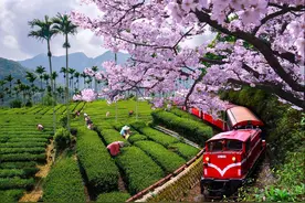 春意盎然-阳光明媚-空气新鲜，旅游的季节，一起出发吧图片
