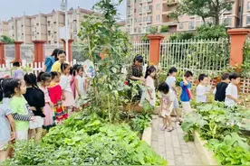 东山中心幼儿园小朋友种的菜大丰收！他们还做了一件非常有意义的事……图片