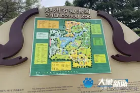 郑州动物园游玩安全吗？巡逻人员：猛兽出逃不太可能图片