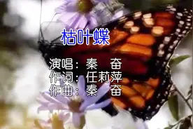 秦奋-枯叶蝶KTV视频封面