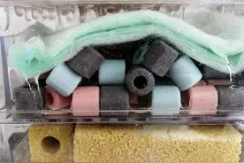 第一次养鱼，记住鱼缸滤材摆放顺序，少出错图片