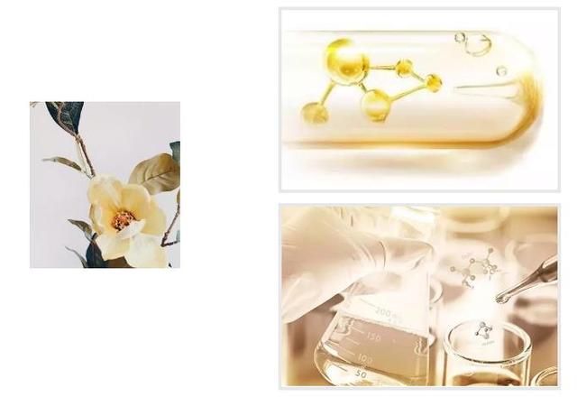 自然旋律b5果酸身体乳成分表