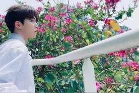 陈立农绿洲分享春日近照 化身白马王子倚栏远眺侧颜迷人图片