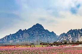 加一元，全年无限次畅游嵖岈山！嵖岈山年卡特价预售火爆开启！图片