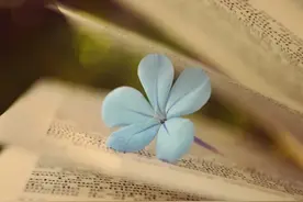 只要是你，晚一点没关系图片