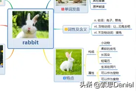 索思英语解码单词（第10个）——rabbit兔子图片