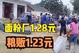 同样的小麦，面粉厂1.28元/斤，粮贩1.23元/斤，为何？卖给谁好？图片