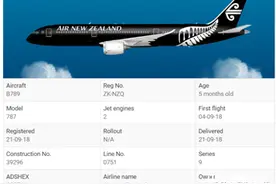 新西兰一架飞往中国上海的航班飞行4.5小时后返航，原因竟然是这样……图片