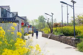 全国示范！宿迁1镇4村实力上榜图片