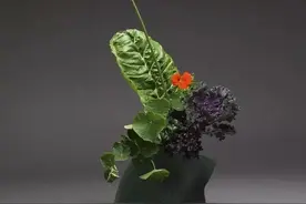 [赏析]禅意插花：一花一世界 一叶一菩提（二）图片