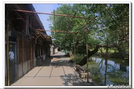 团桥村，一个即将消失的古村落——骆驼街道图片