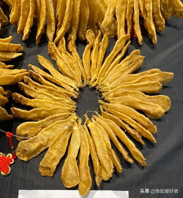 鱼胶是不是越大越好 2026年鱼胶是不是越大越好呢