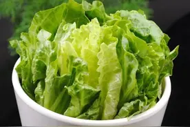 爱吃生菜的朋友请注意：生菜营养丰富，但三类人要少吃或不吃图片