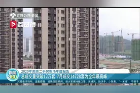 总成交量突破12万套！南京二手房市场2020年度报告出炉图片