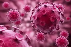 HPV 和TCT你了解多少？图片