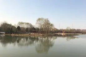 北京公墓情况调查：长青园骨灰林基地图片