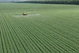 东北人才懂的心酸图片