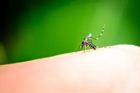 “秋蚊子”战斗力爆表，我们来一场扫“蚊”风暴！看“狠毒”的花图片