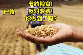 年损失3500万吨粮食，“精米白面”观念该淘汰，看官方和专家咋说图片