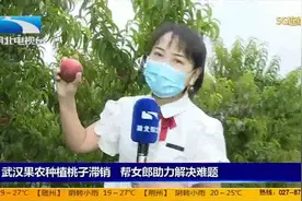 武汉果农种植桃子滞销，帮女郎助力解决难题视频封面