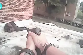 认定黑人男子手里的手机是枪，美国警察连开三枪将其击倒视频封面