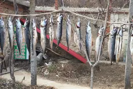 鱼干这样做太香了，不炸不蒸不炖，骨酥肉烂，鲜香不腥气，真好吃图片