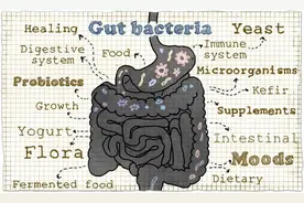 胃肠病学研究所左涛团队揭秘新冠肺炎病毒与肠道菌群的关系图片