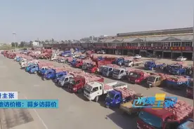 多措并举！江苏邳州促销售，帮助蒜农走出困境图片