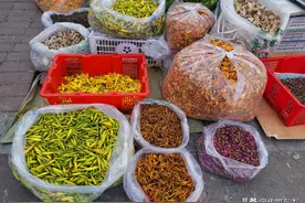 大兴安岭的山野产品陆续上市，你喜欢哪一种？图片