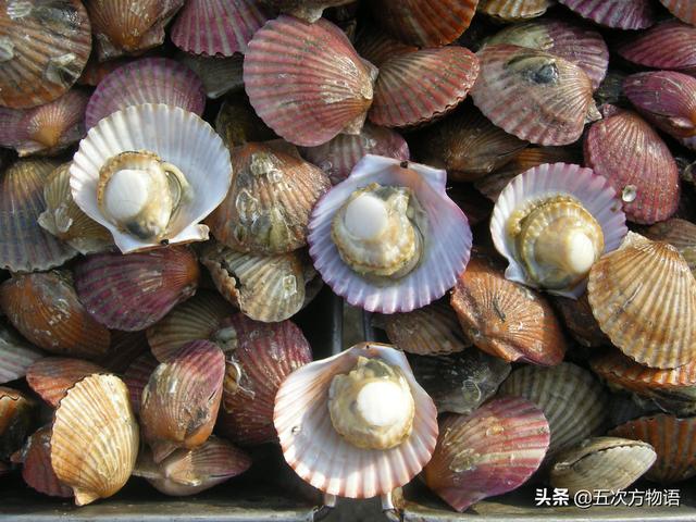 六耳赤嘴鱼胶有收藏价值吗 2026年六耳赤嘴鱼胶的功效和作用