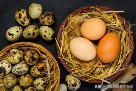 老人常说“想补钙，可将鸡蛋壳炒一炒吃”这种方法能补钙吗？还有哪些便宜的食物补钙效果好？图片