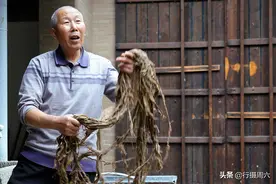 无人要的构树，陕西农民大叔用它皮瓤造纸，1刀卖价1200元图片