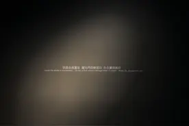 周末荐书｜陈丹青：艺术家真的要隐退吗？他是要你找他呀图片