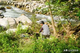 老伴去世儿子出外，72岁奶奶上山下河捡柴火，只因“爱”很深图片