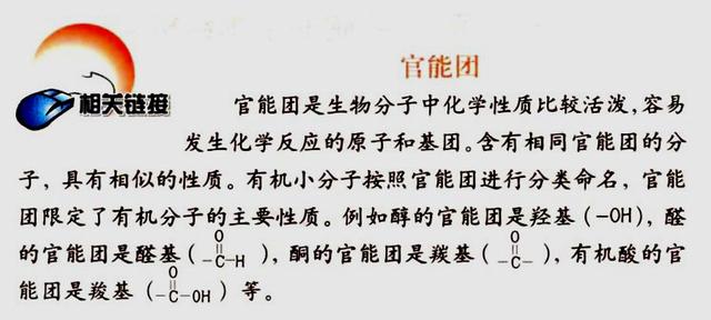 突破氨基酸结构难点，轻松掌握《生命活动的承担者——蛋白质》