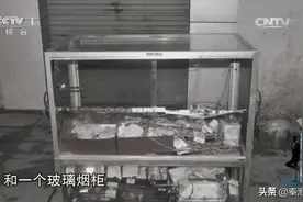 广西桂林荔浦凶杀案侦破纪实图片