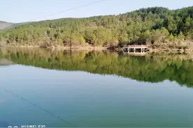 春天的乡村如诗如画，利州飞龙村花香四溢，随手拍就是人间美景！图片