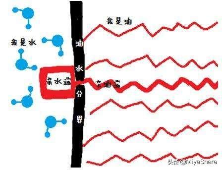氨基酸洁面最温和？这类洁面才是首选：洗得干净不残留适合大多数