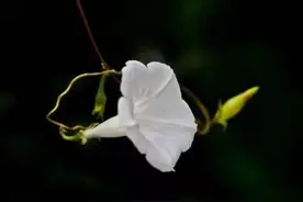 一位心理学告诉我：你喜欢的颜色暴露了你的内心，很准的图片
