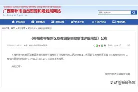 小学1所、幼儿园3所…柳州这个片区未来可期！龙城路片区也将大变图片