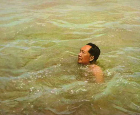 万里长江横渡极目楚天舒的意思是什么（红色诗词鉴赏水调歌头·游泳）