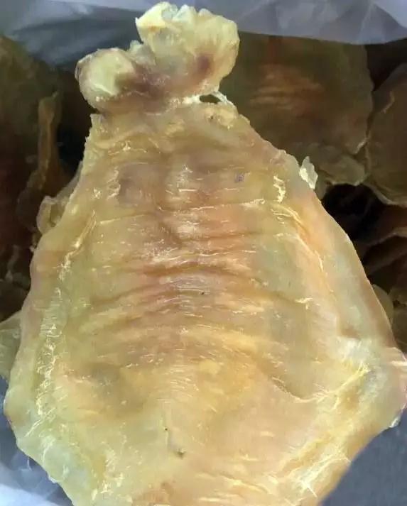 双背鳘鱼胶 2025年双背鳘鱼胶的档次