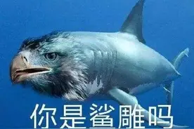 继光头王八后，这可能是今年meme圈最“鲨雕”的崽图片